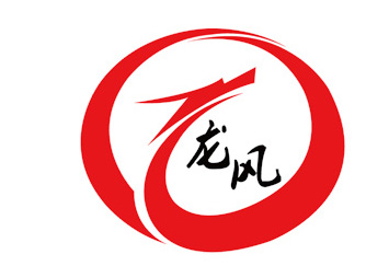 龍風(fēng)logo.jpg
